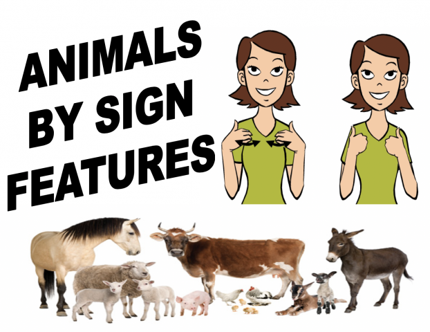 Sign Language animals based on characteristics | Share My Lesson